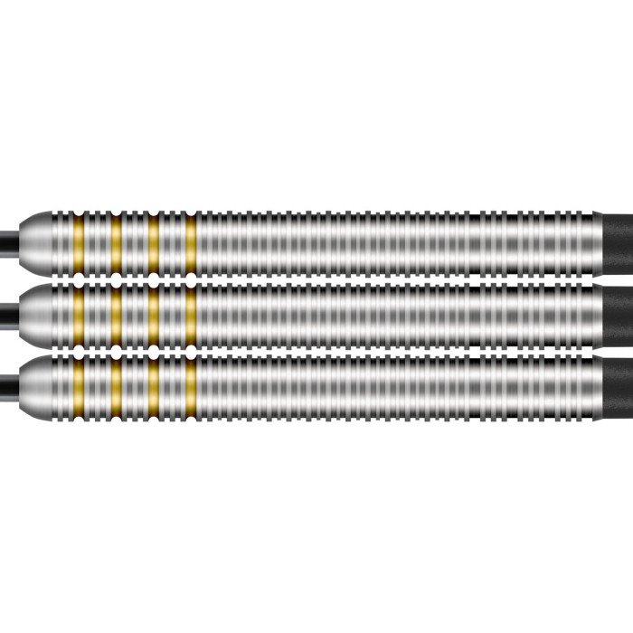 Shot Ritchie Edhouse 90% darts tikka