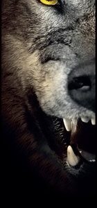 Bullet Carpet Fang Dartsmatto300 x 60 cm